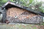 Freistehendes Haus mit liebevoll angelegtem Garten am Waldrand - Einfamilienhaus Bonn - Oberkassel Oberkassel | Angebot:24819986