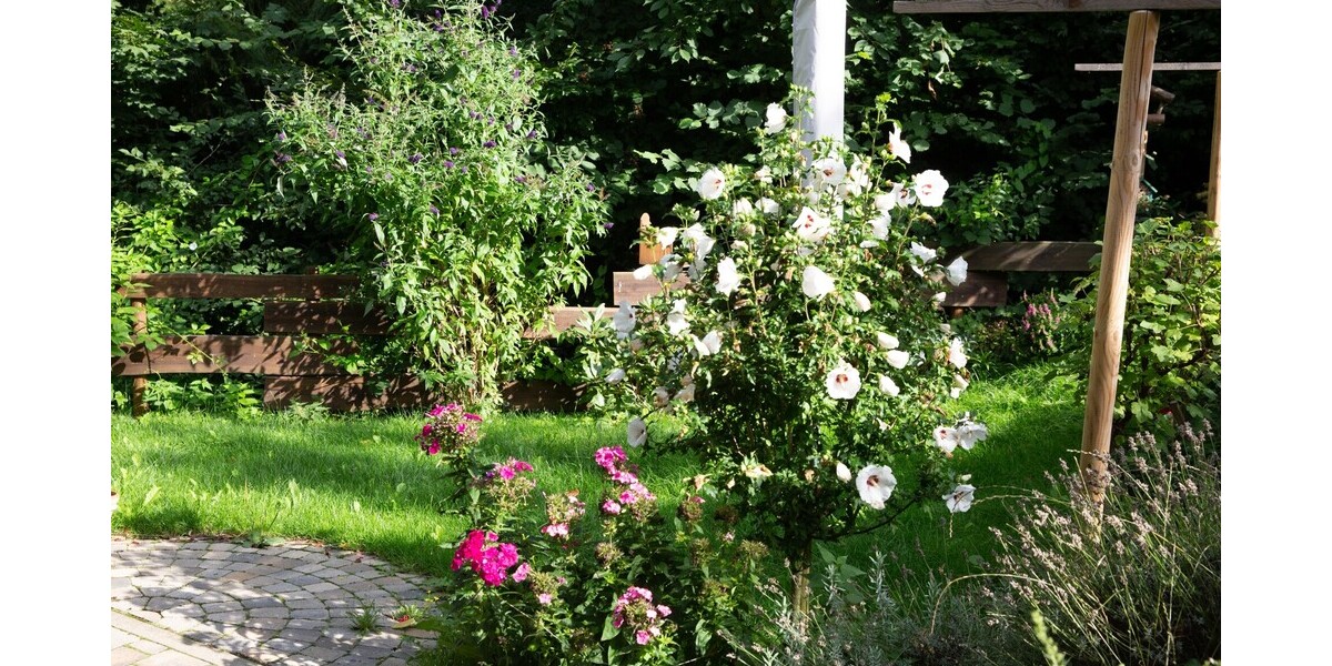 Gartenansicht