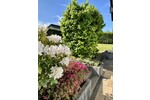 Lichtdurchflutetes modernes Einfamilienhaus mit Einliegerwohnung! - Einfamilienhaus Königswinter / Thomasberg Thomasberg | Angebot:26932422